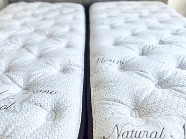 Orthopaedic Merino ZIPPED Mattress and Drawer Base