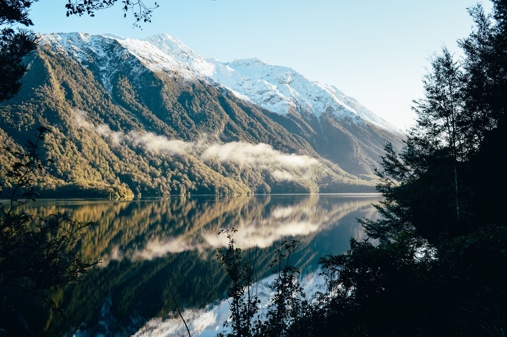 Why Choose a NZ-Made Mattress?